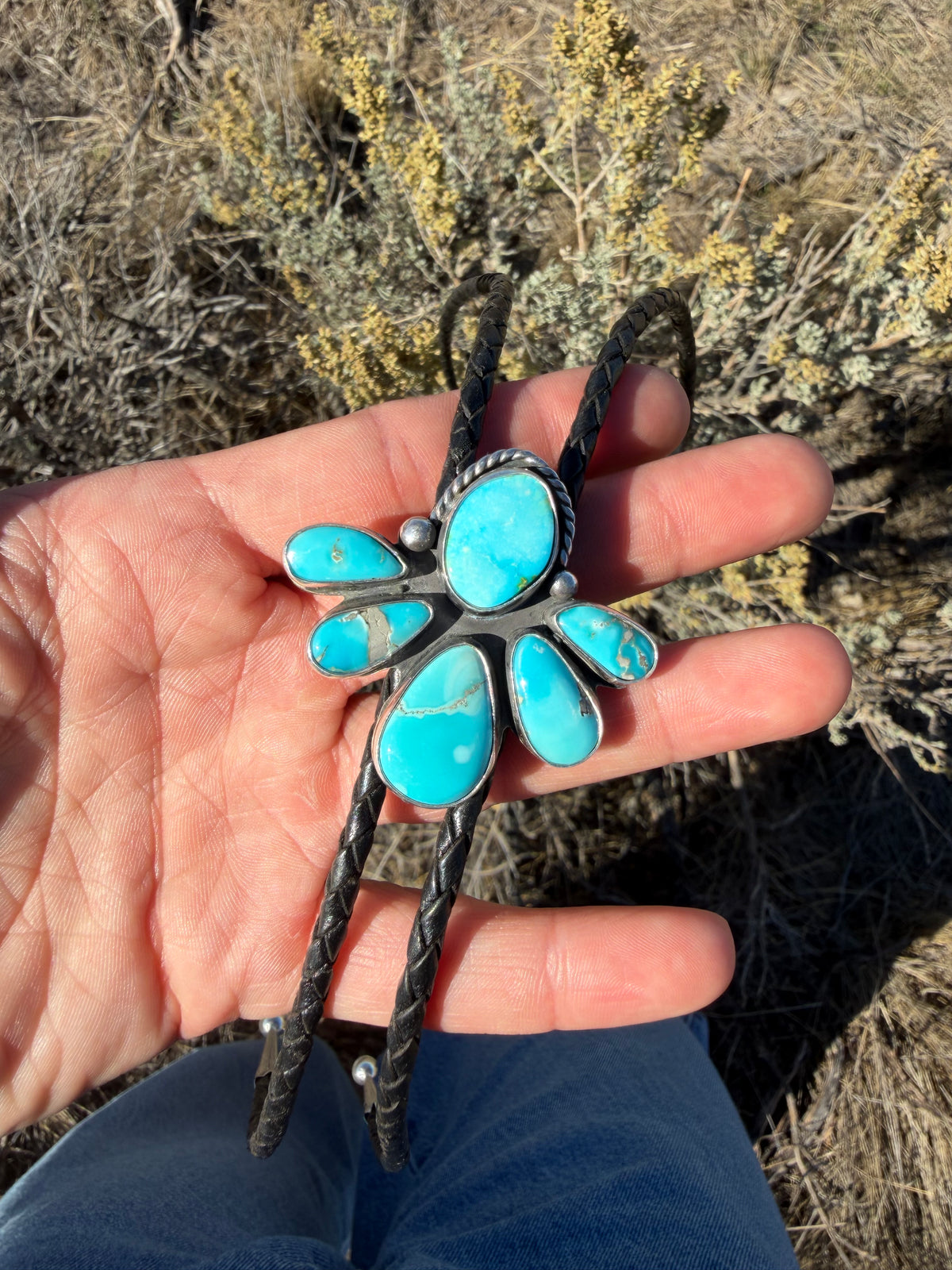 Sierra Bella bloom bolo