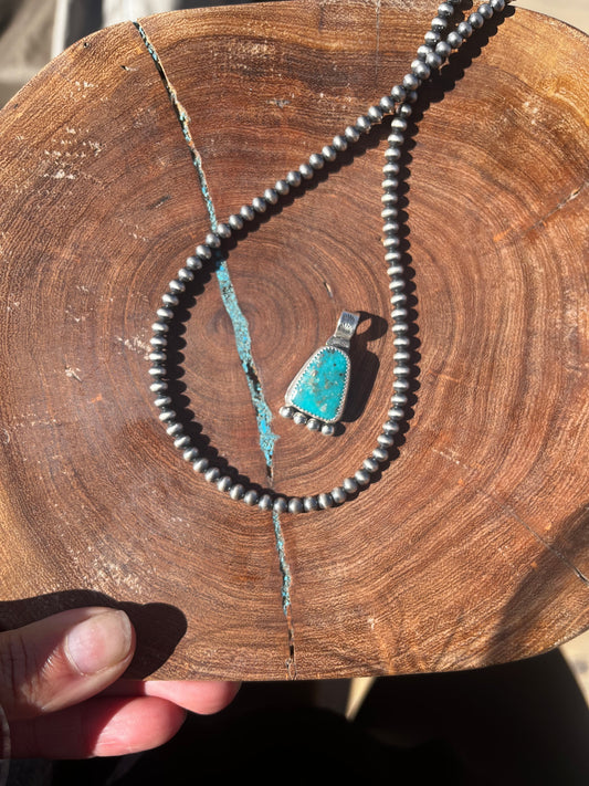 The Sonoran pendant